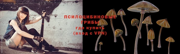 прущая мука Фурманов